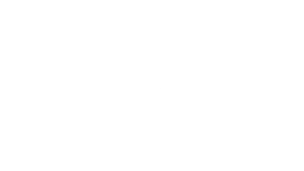Inspection Lot