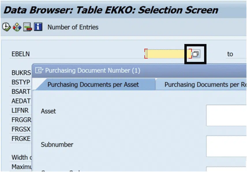 screen shot, data browser: table EKKO: Selection Screen