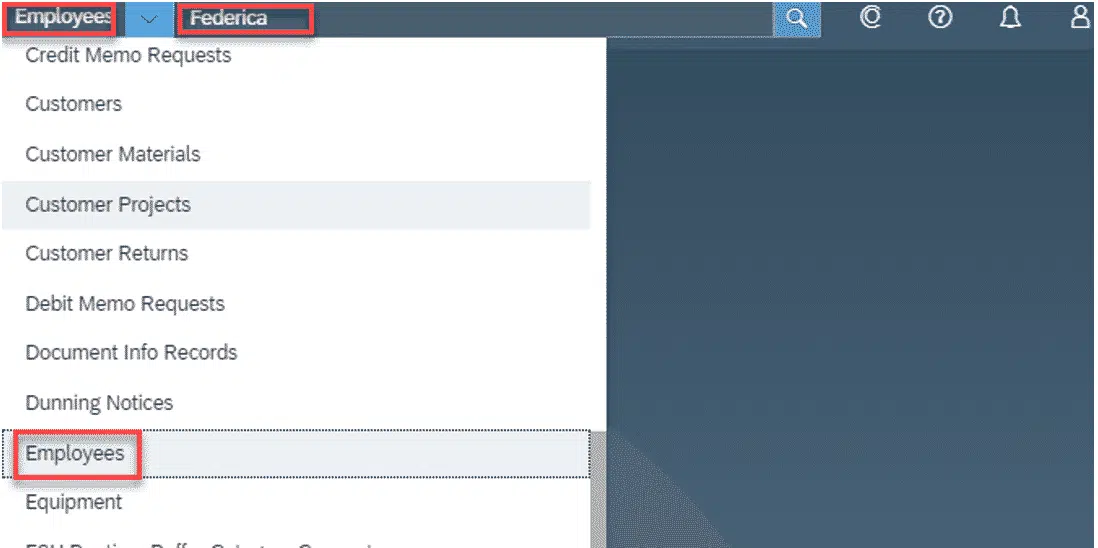 screen shot search screen in SAP