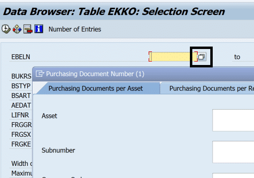 image of data browser, implements boolean logic for exact match in SAP R/3